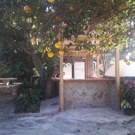 Finca Los Aguacates Trapiche  Extérieur photo