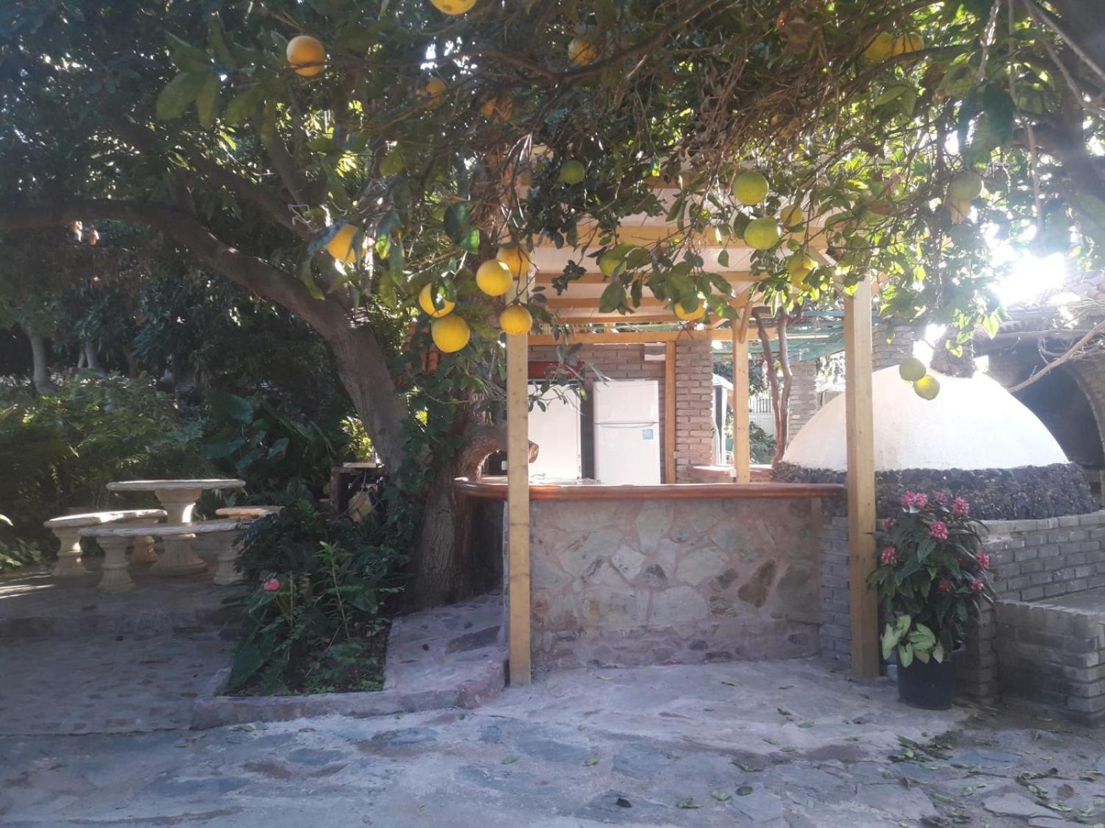 Finca Los Aguacates Trapiche  Extérieur photo